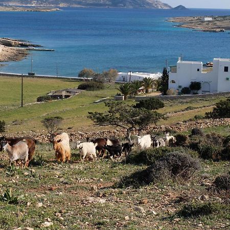Alkionides Studios Koufonisia Exterior photo