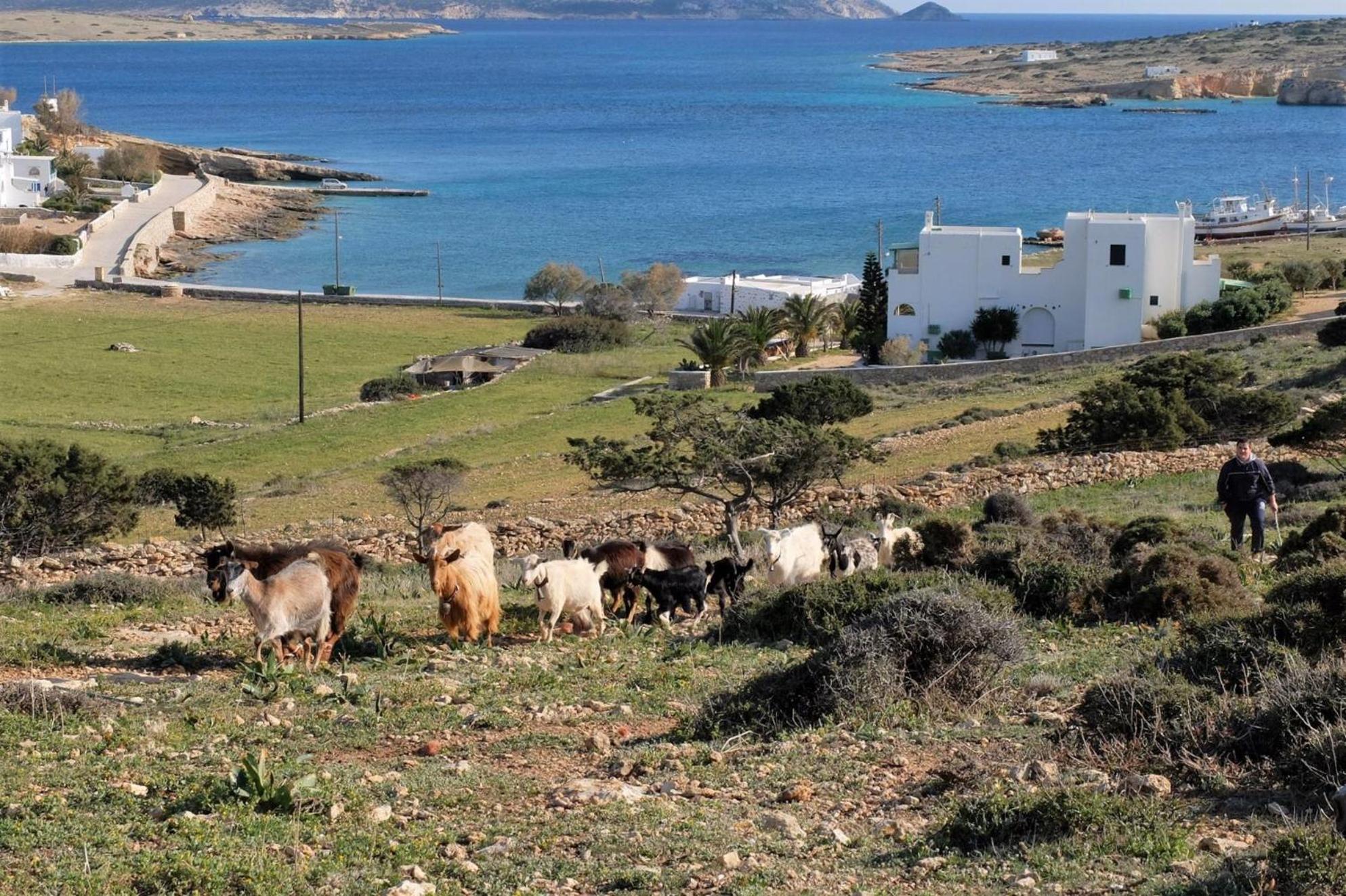 Alkionides Studios Koufonisia Exterior photo