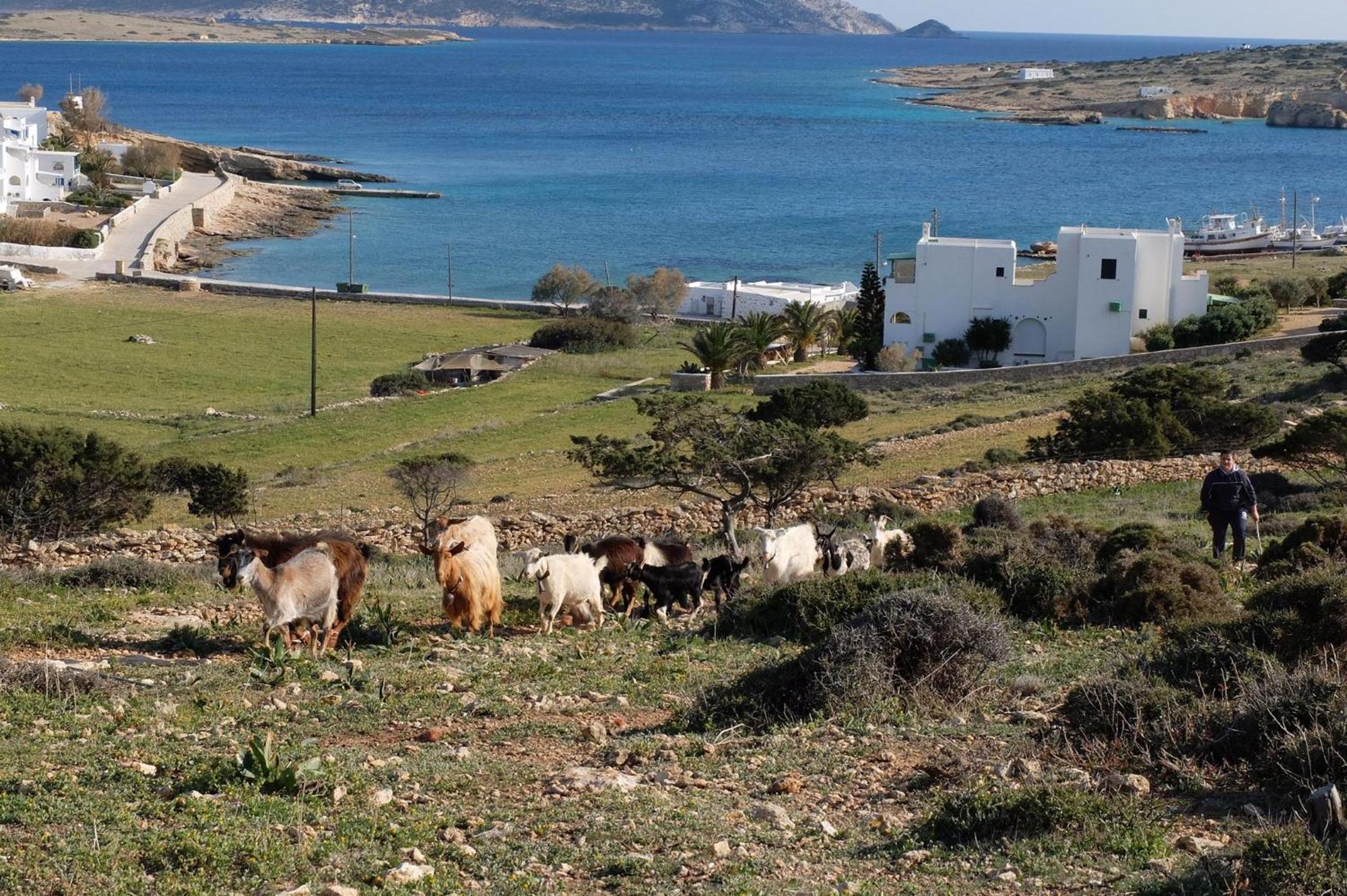 Alkionides Studios Koufonisia Exterior photo